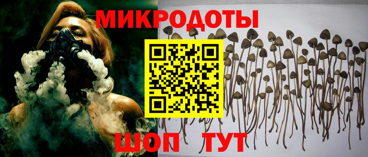 Бошки Шишки  КОКАИН  Назрань  Лсд 25  Гашиш  ЭКСТАЗИ  ГАШ  A PVP СК   Меф   Вход с VPN 