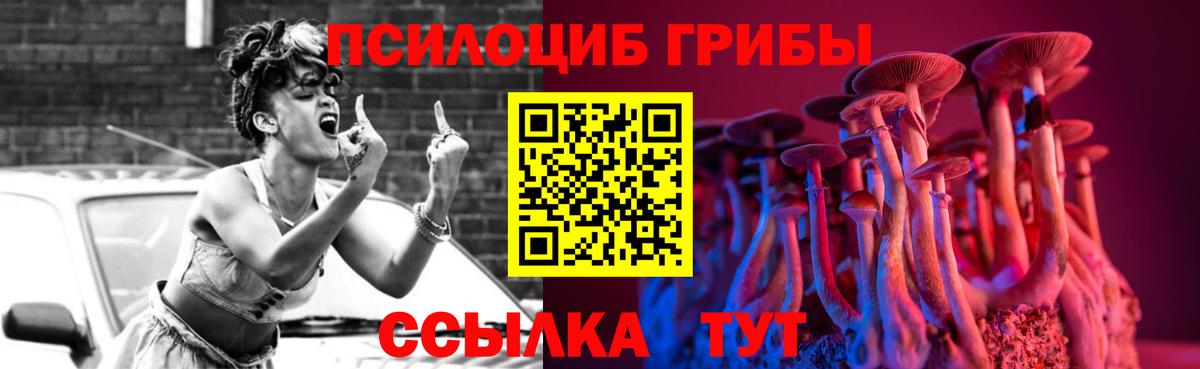Псилоцибиновые грибы Psilocybe Назрань